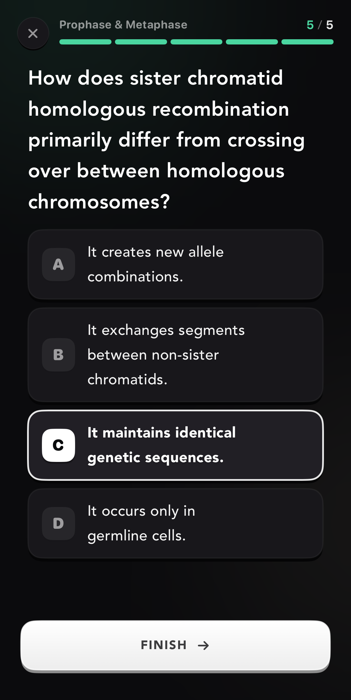 Taking a practice test in Nerzia